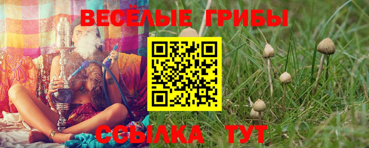 Псилоцибиновые грибы ЛСД Барабинск